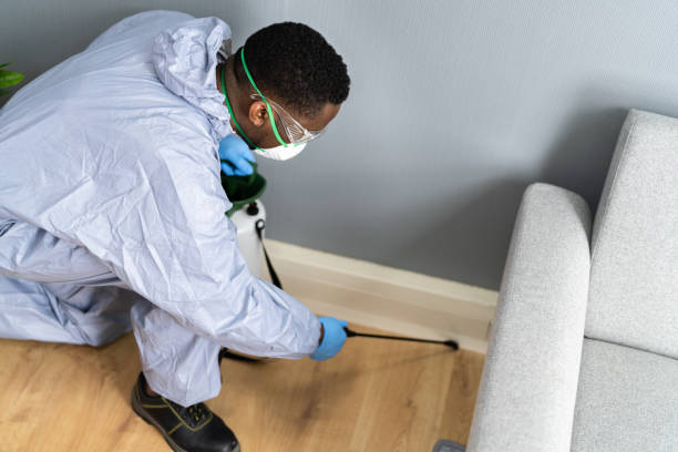 Best Real Estate Pest Inspections  in Center Point, IA